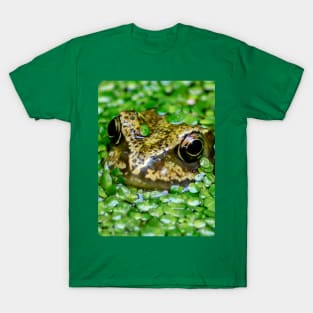 Frog hiding in the weeds T-Shirt